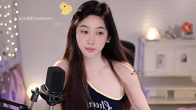 SleepArtist webcam