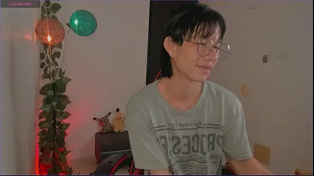 odelei webcam