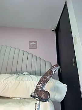 catalina_spec webcam