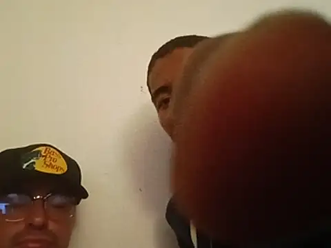illroots36 webcam