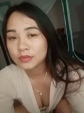 PIVI-12 webcam