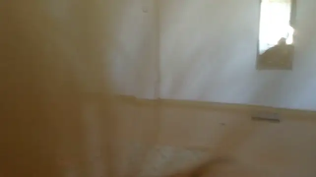 SianaLuxe webcam