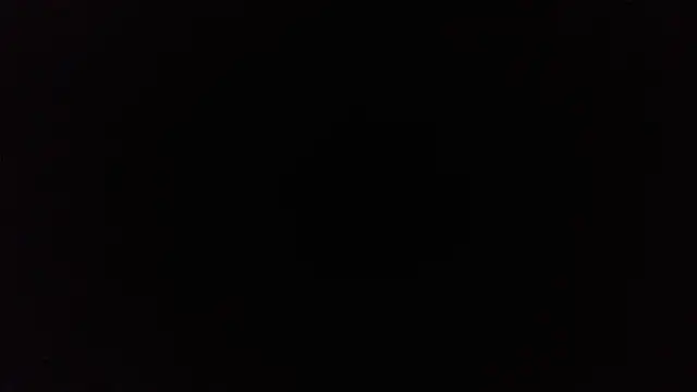 TrevorSteele webcam