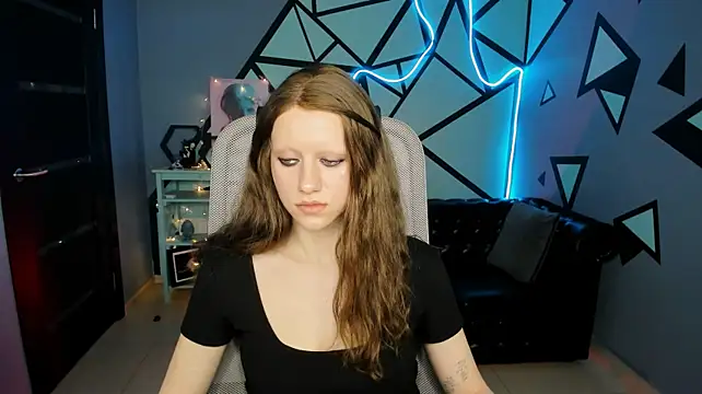 LidaDarknet webcam
