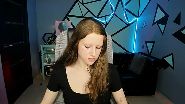 LidaDarknet webcam