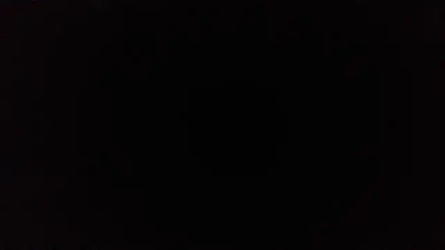 TrevorSteele webcam