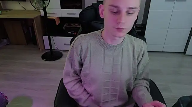 pvlpstvy webcam
