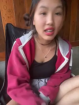 hoa_mai webcam