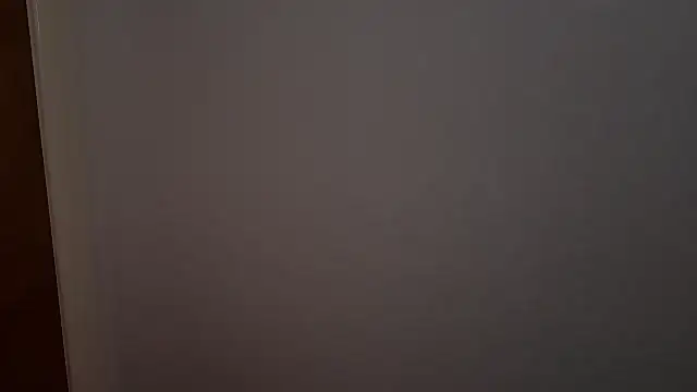 adelaide2026 webcam