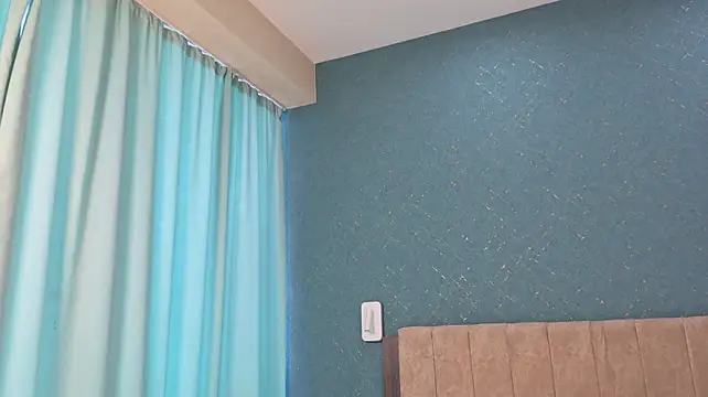 smart_eliz webcam