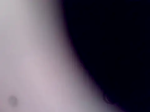 ArcticRubber1989 webcam