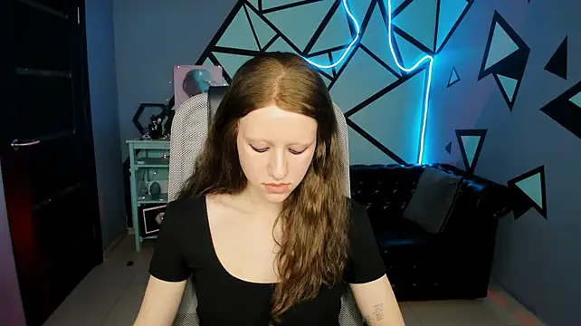 LidaDarknet webcam