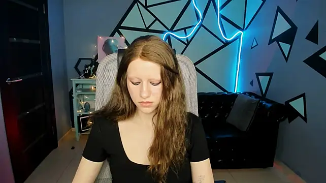 LidaDarknet webcam