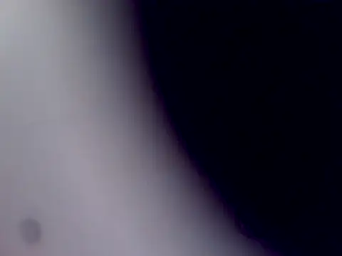 ArcticRubber1989