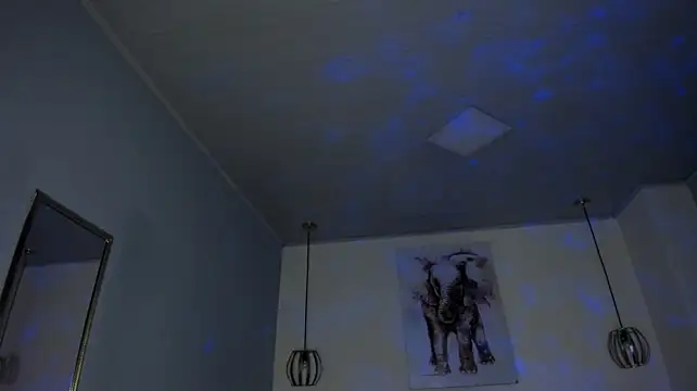 ayshel__