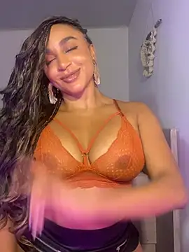 destinne_mill_ webcam