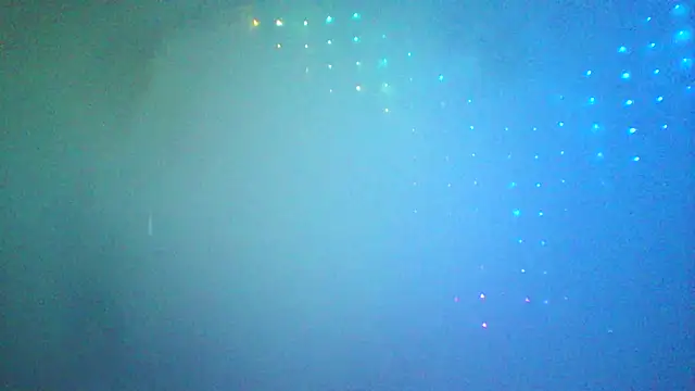 LINYguy webcam