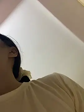An-An19 webcam