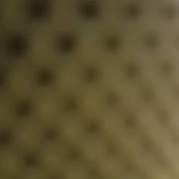 Conilavoz webcam