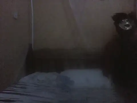 sweet_rozie81 webcam