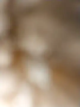 KingofPussylover09