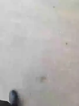 RISKY__DANNY webcam
