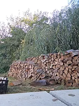 IsabelleCraft webcam