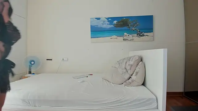 dulceys webcam