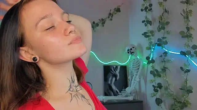 Elastikisss webcam