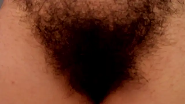 Im_coco webcam