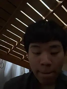 sH1255sh webcam