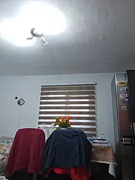 IsabelleCraft webcam
