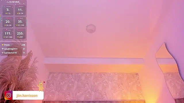 Jin-harrison webcam