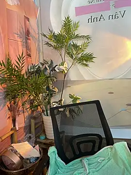 Miuxynh webcam