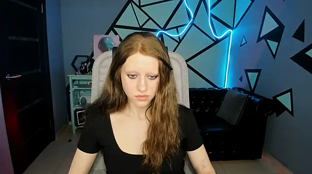 LidaDarknet webcam