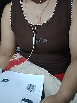 Hiha-nn webcam