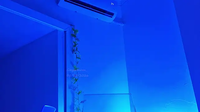 GingerMoon_ webcam