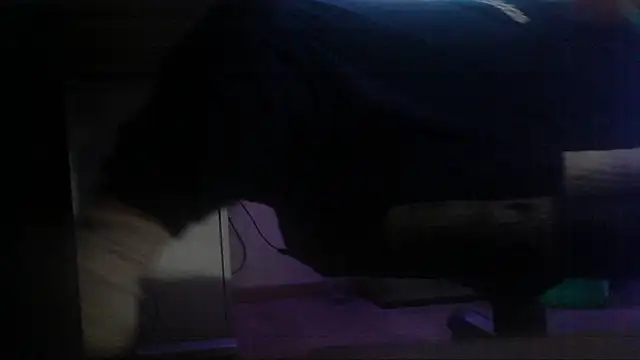 fanfancoquinFR webcam