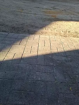 ondlaniej