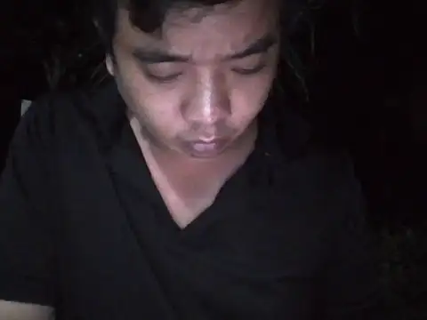 Palatable69-VN webcam