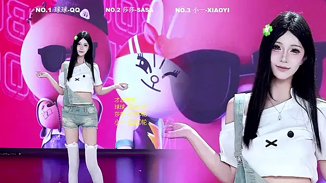 TY-002 webcam