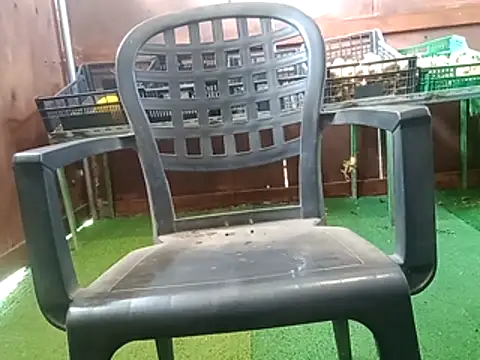 91019