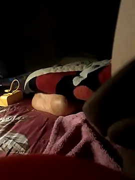 -Tara-a webcam
