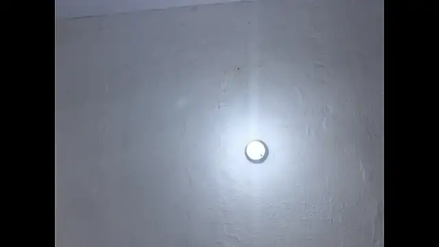 Cataleya_ja webcam