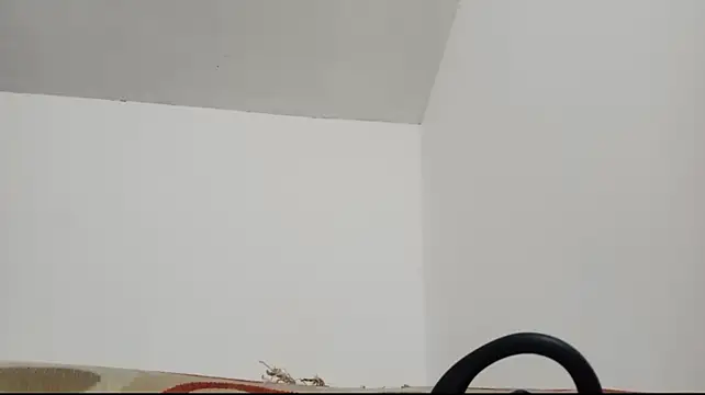 FoxyMellow webcam