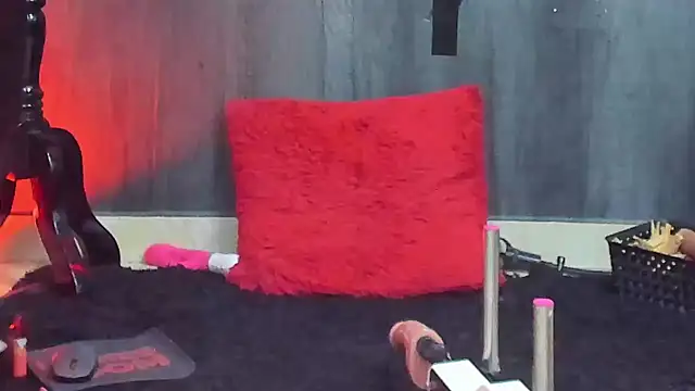 Liittledolly webcam