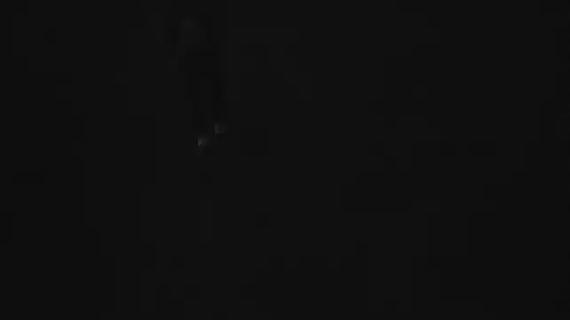 Vuitton webcam