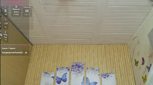 Moonceleste webcam