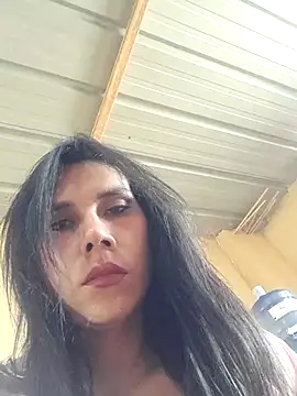 Modelo: GinaLaFenix