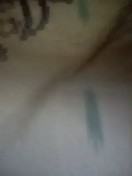 Pagal_ladkii webcam